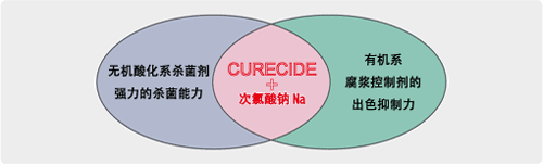 CURECIDE的概要 Abstracts of  Curecide system