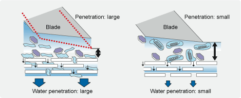 Influence of Water Rheology