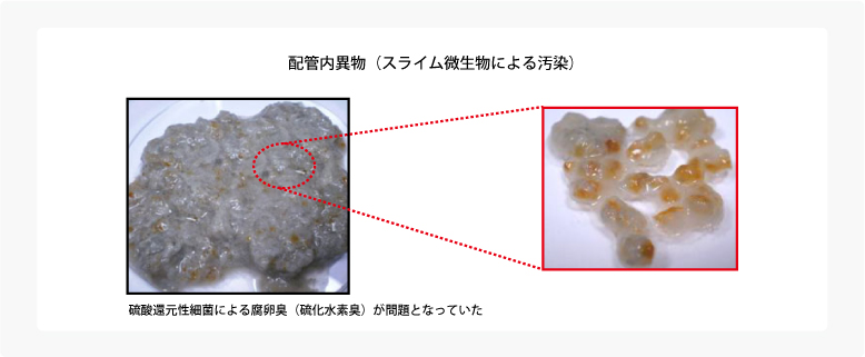 配管内異物(スライム微生物による汚染)