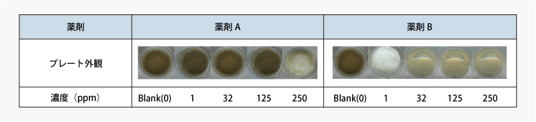 薬剤選定試験結果例